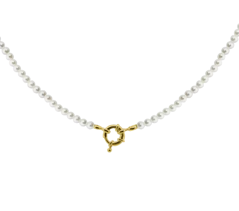 ZILIA Ashley Argint 925 Coliere