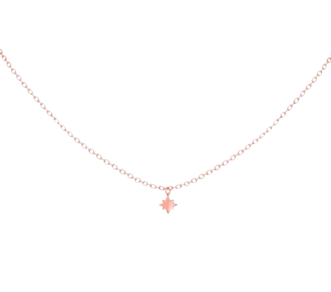ZILIA North Star Aur 14K Colier