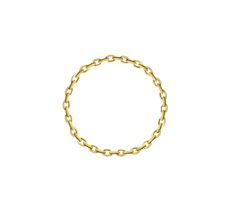 ZILIA Anchor Chain Aur 14K Inel