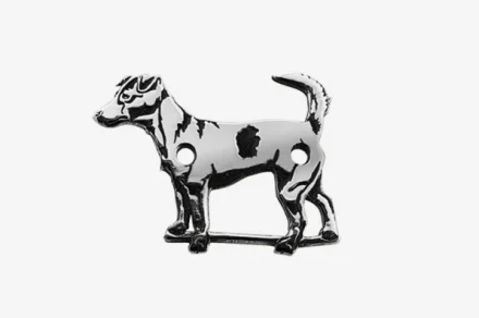 Jack Russell Terrier 2