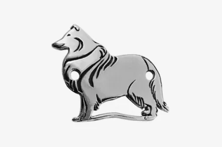 Ciobănesc Scoțian 2